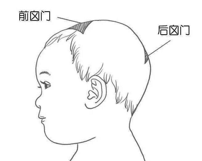 囟門(mén)發(fā)育不良的表現(xiàn)
