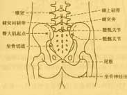 棘上韌帶損傷
