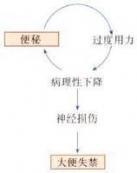 會陰下降綜合征 會陰下降綜合征